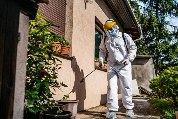 Best Flea Control Services  in Burnt Mills, MD