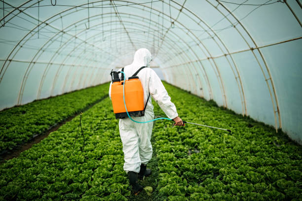 Best Pest Prevention Services  in Burnt Mills, MD