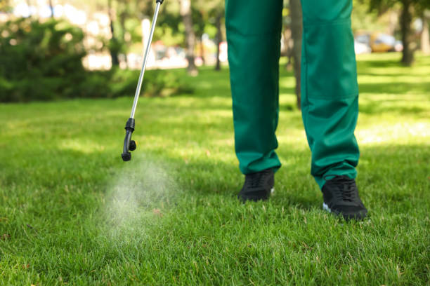 Best Best Pest Control Companies  in Burnt Mills, MD