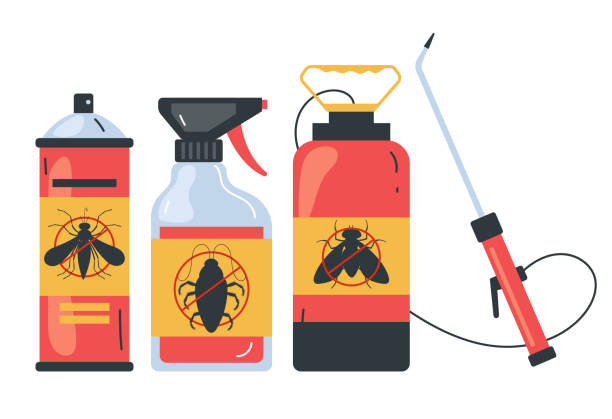 Reliable Burnt Mills, MD Pest Control Solutions