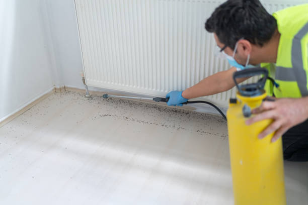 Best Best Pest Control Companies  in Burnt Mills, MD
